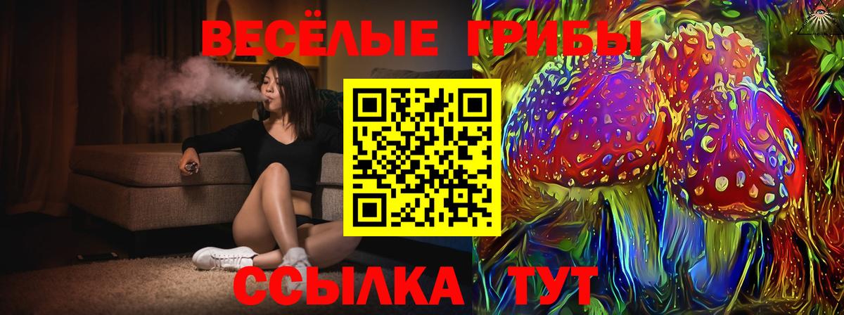 Галлюциногенные грибы Psilocybe Орёл