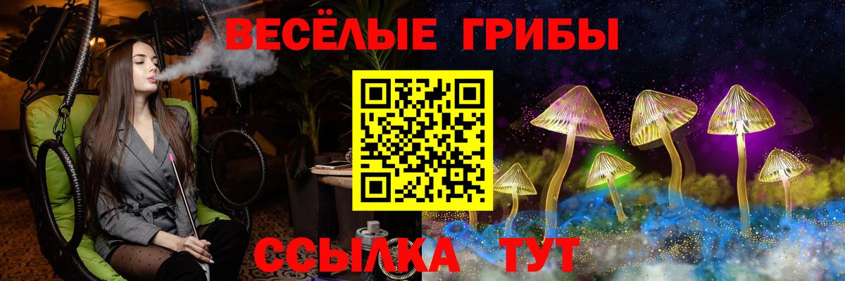 Псилоцибиновые грибы Psilocybe  Галлюциногенные грибы прущие грибы  Вход с VPN  Орёл 